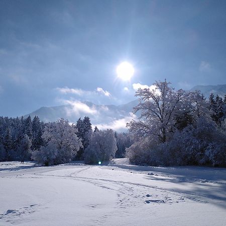 Werkhof Bistrica Daire Dış mekan fotoğraf