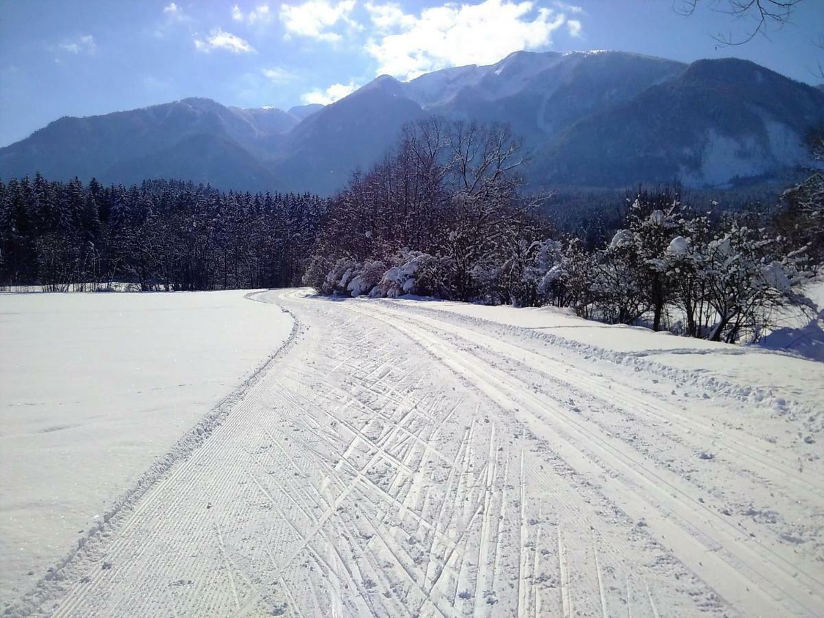 Werkhof Bistrica Daire Dış mekan fotoğraf